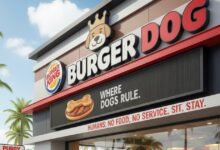 Burger king opens first restaurant where dogs eat burgers and humans wait
