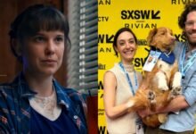 Dog wins Hollywood Award, overshadows Eleven from Stranger Things