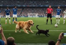MLS Match Suspended After Dog Enters Field to Pursue Cat, Drawing In Players and Bench